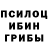 Псилоцибиновые грибы GOLDEN TEACHER Rolando 3729