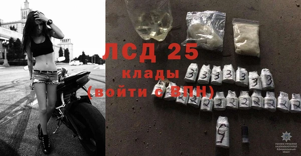 стафф Алексин