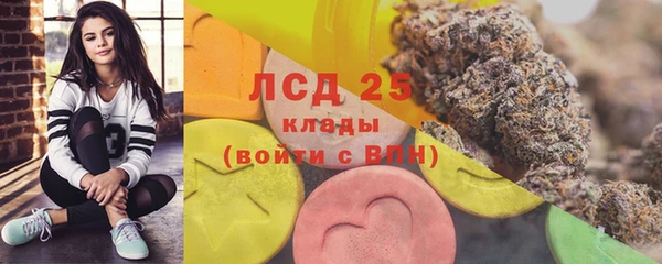 PSILOCYBIN Абдулино