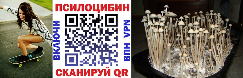 мориарти официальный сайт  Моршанск  Псилоцибиновые грибы Psilocybine cubensis 